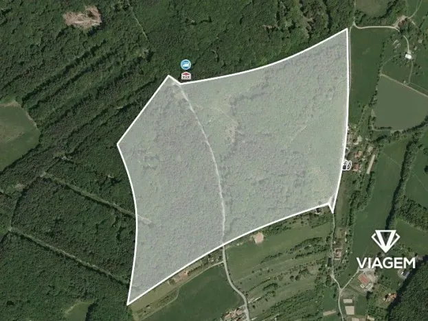 Prodej podílu lesa, Šanov, 2432 m2