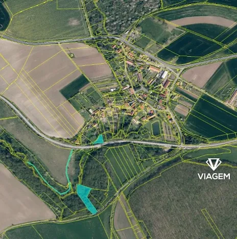 Prodej podílu lesa, Horní Řepčice, 3511 m2