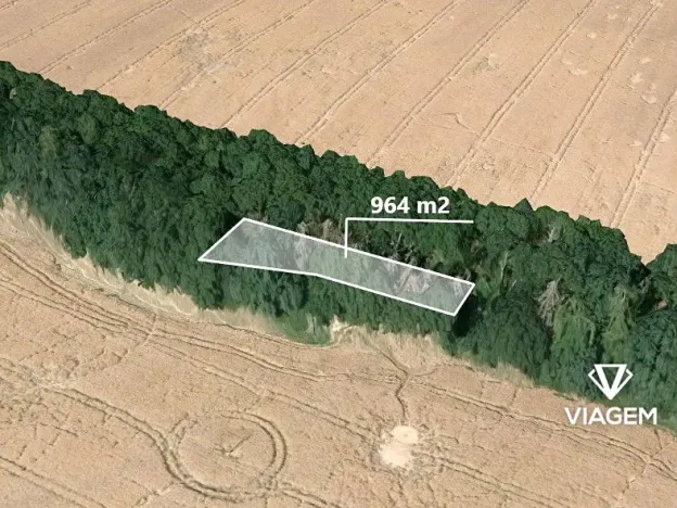 Prodej podílu lesa, Bouzov, 642 m2