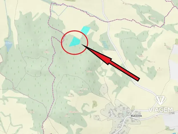 Prodej podílu lesa, Bukovník, 1306 m2