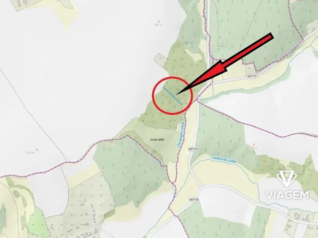 Prodej lesa, Březolupy, 1255 m2