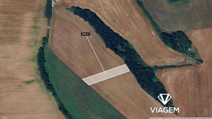 Prodej podílu pole, Nedachlebice, 530 m2