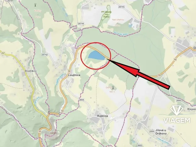 Prodej lesa, Loužnice, 41323 m2