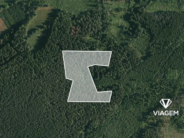 Prodej podílu lesa, Volyně, 1219 m2