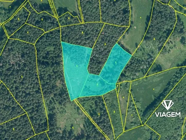 Prodej podílu lesa, Volyně, 2075 m2