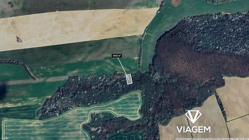 Prodej podílu pole, Újezdec, 807 m2