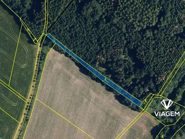 Prodej lesa, Skalička, 829 m2