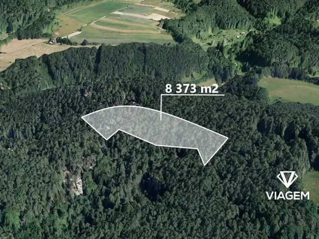 Prodej podílu lesa, Mírová pod Kozákovem, 2093 m2