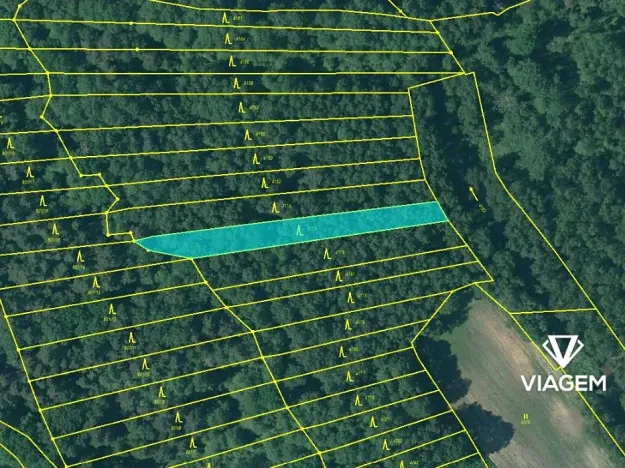 Prodej lesa, Třeboň, 1201 m2