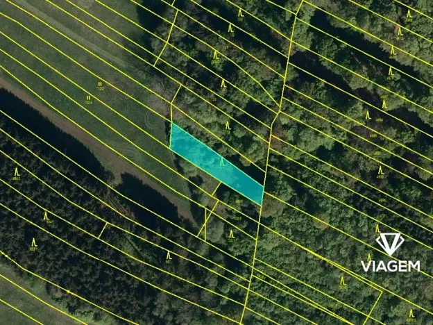 Prodej lesa, Vlachovice, 659 m2