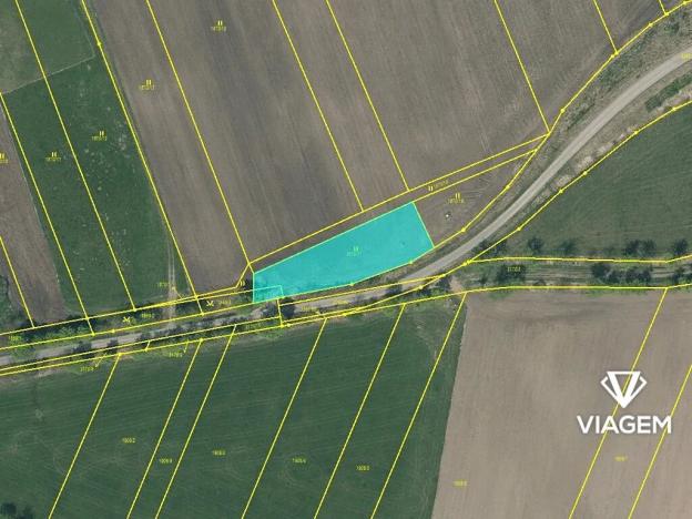 Prodej podílu zahrady, Planá nad Lužnicí, 309 m2