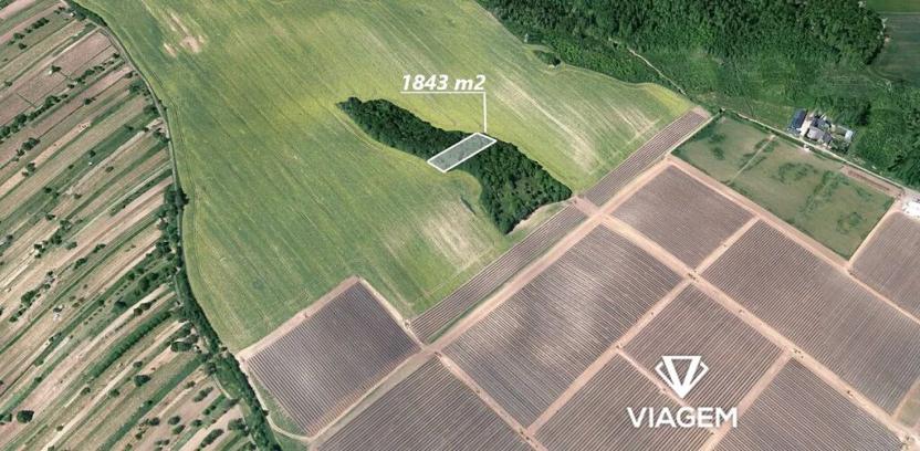 Prodej zahrady, Hovorany, 1843 m2