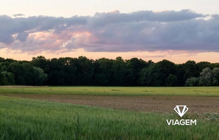 Prodej podílu pole, Střemošice, 1822 m2