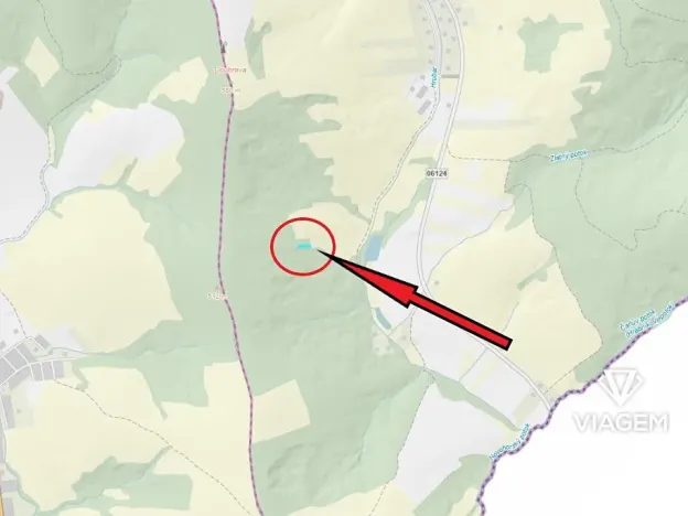 Prodej podílu lesa, Březová, 464 m2