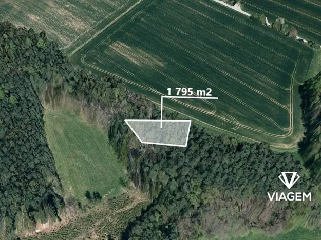 Prodej podílu lesa, Krásná Hora, Kojkovice, 598 m2