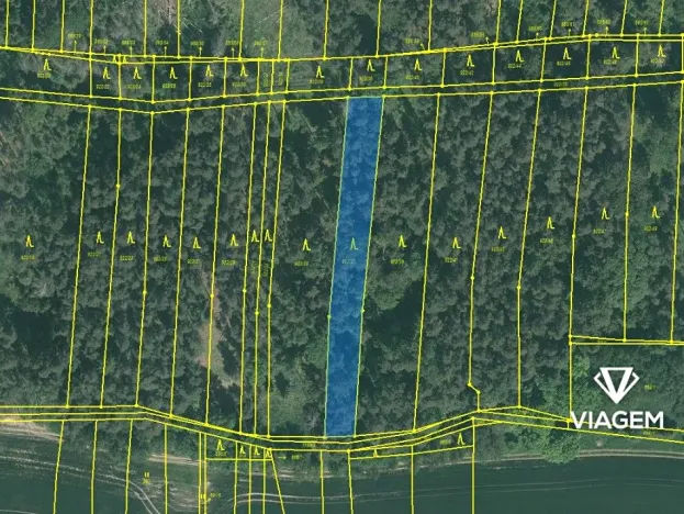 Prodej lesa, Hradiště, 1828 m2