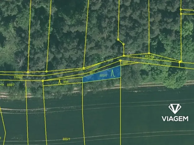 Prodej lesa, Hradiště, 2874 m2