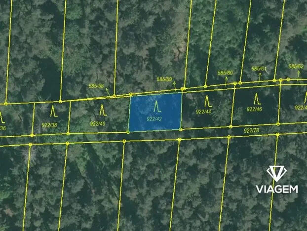 Prodej lesa, Hradiště, 2874 m2