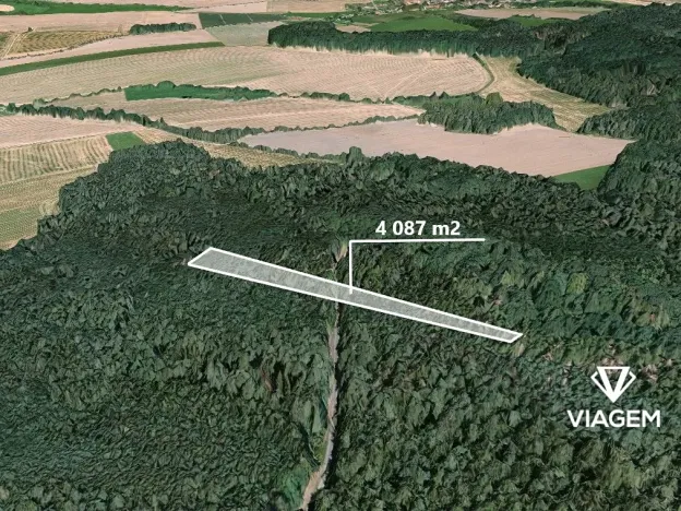 Prodej lesa, Hradiště, 4087 m2