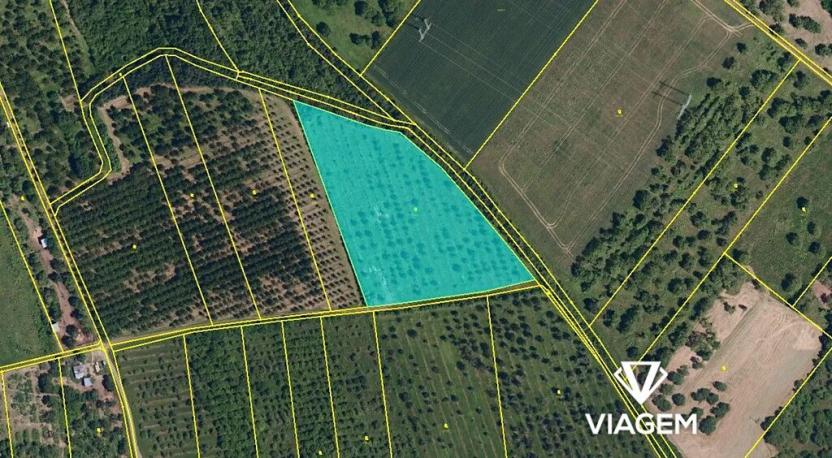 Prodej podílu sadu/vinice, Želešice, 511 m2