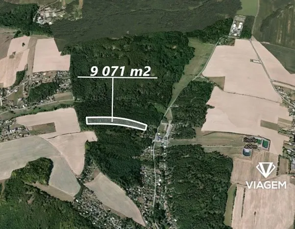 Prodej lesa, Horní Lhota, 9071 m2