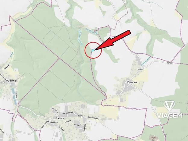 Prodej podílu lesa, Doubek, 697 m2