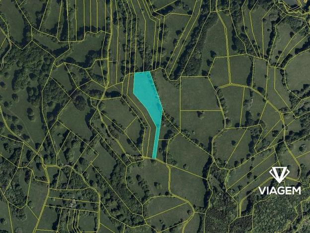 Prodej podílu pole, Javorník, 1525 m2
