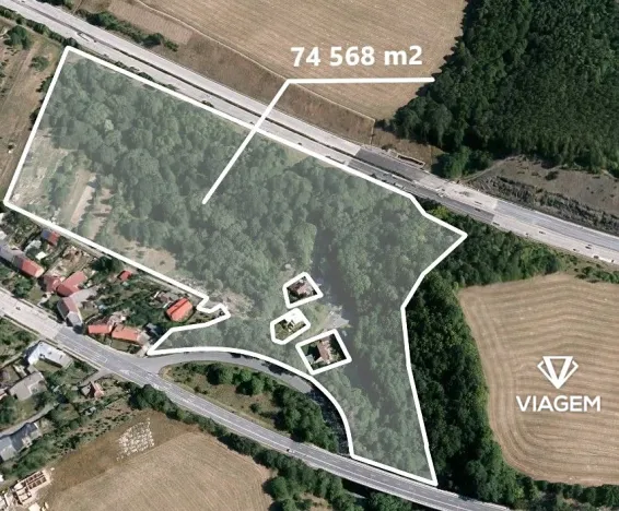 Prodej podílu lesa, Dolní Újezd, 5568 m2