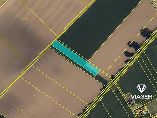 Prodej podílu pole, Střížovice, 2217 m2