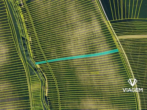 Prodej podílu pole, Archlebov, 1705 m2