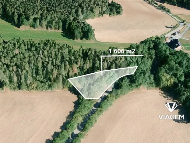 Prodej podílu lesa, Čím, 803 m2