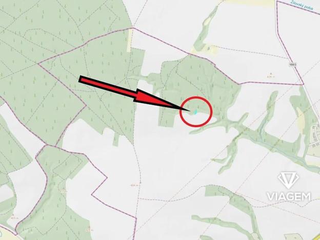 Prodej lesa, Ledce, 285 m2