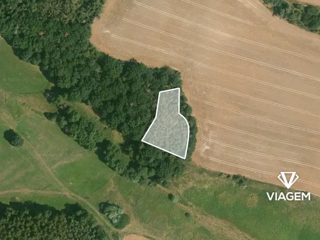 Prodej podílu lesa, Líšťany, 1029 m2
