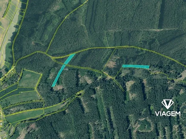 Prodej podílu lesa, Líšťany, 1029 m2