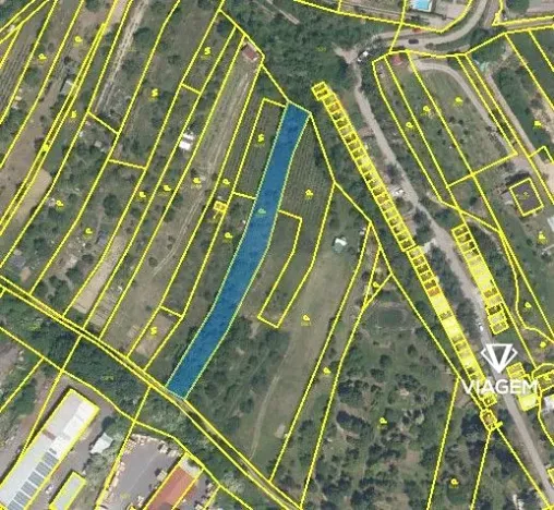 Prodej zahrady, Nový Šaldorf-Sedlešovice, 1624 m2