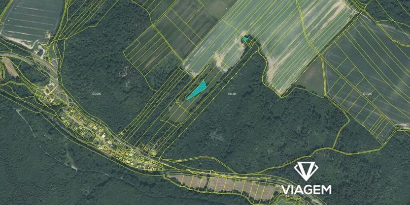 Prodej lesa, Horní Lhota, 11423 m2