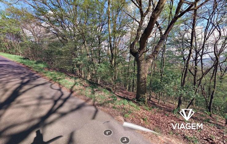 Prodej lesa, Ústí nad Labem, 5998 m2