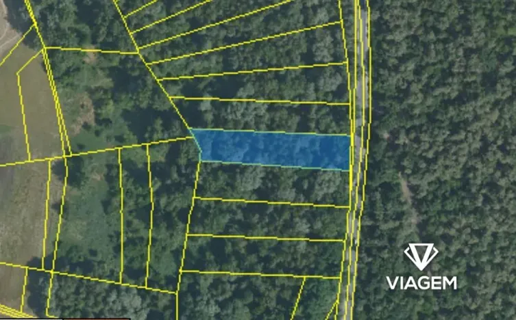 Prodej lesa, Křenek, 2867 m2