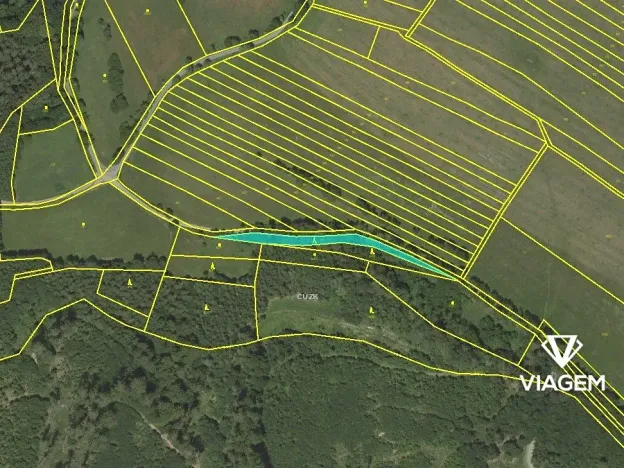 Prodej podílu lesa, Městečko Trnávka, 3310 m2