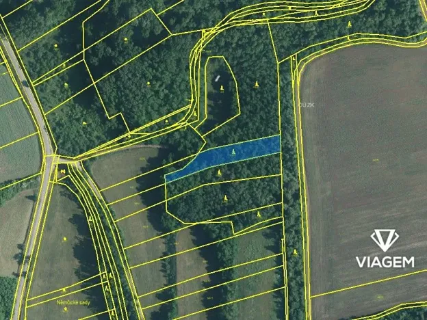 Prodej lesa, Medlov, 1873 m2