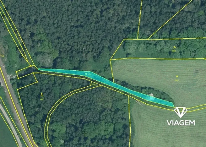 Prodej lesa, Svojšín, 2777 m2