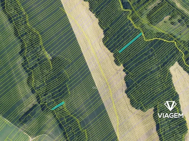 Prodej podílu lesa, Popovice, 736 m2