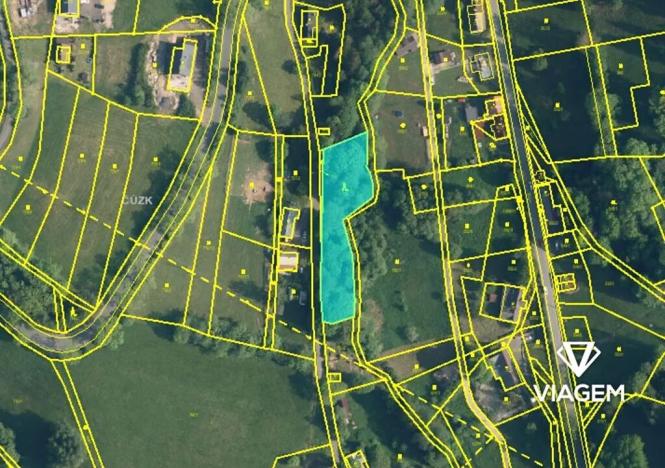 Prodej podílu lesa, Zlatá Olešnice, 963 m2