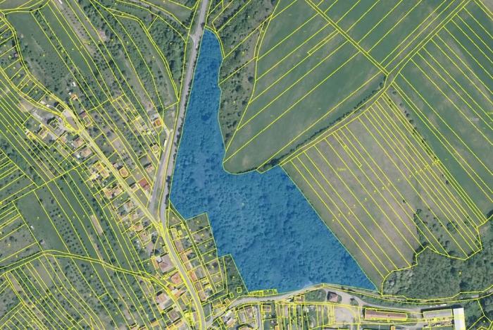 Prodej podílu zahrady, Pašovice, 11619 m2