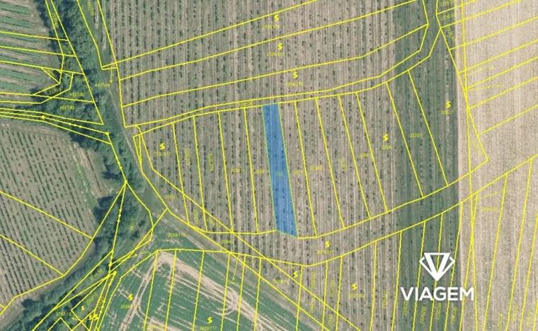 Prodej podílu pole, Boršice, 262 m2