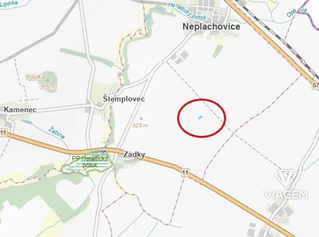 Prodej lesa, Neplachovice, 1321 m2