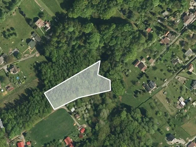 Prodej lesa, Orlová, 4764 m2