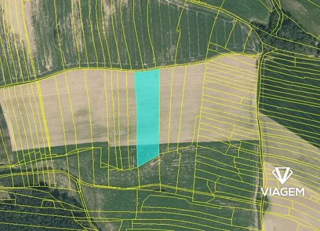 Prodej podílu pole, Třebějice, 1371 m2