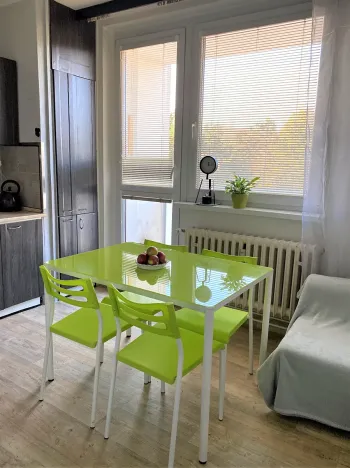 Pronájem bytu 1+1, Brno, Horácké náměstí, 49 m2