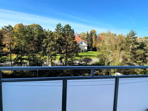 Pronájem bytu 1+1, Brno, Horácké náměstí, 49 m2